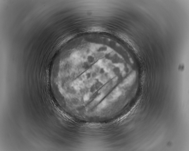 X0000098170825200805151114