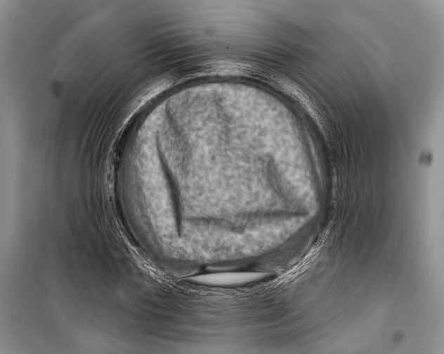 X0000098170827200805151114