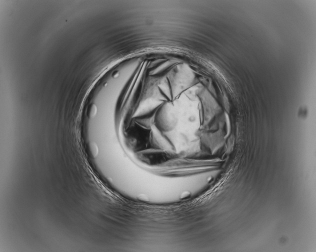 X0000098170828200805151114