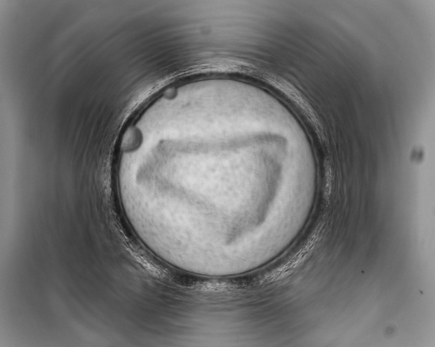 X0000098170834200805151115