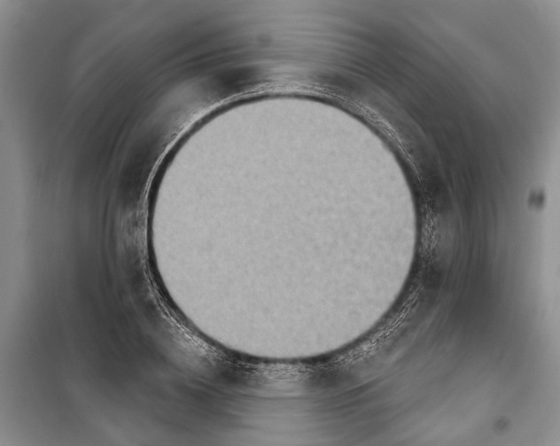 X0000098170836200805151115