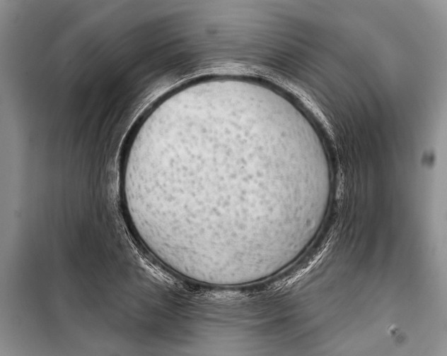 X0000098170837200805151115