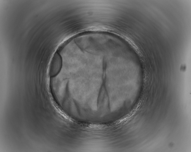 X0000098170840200805151115