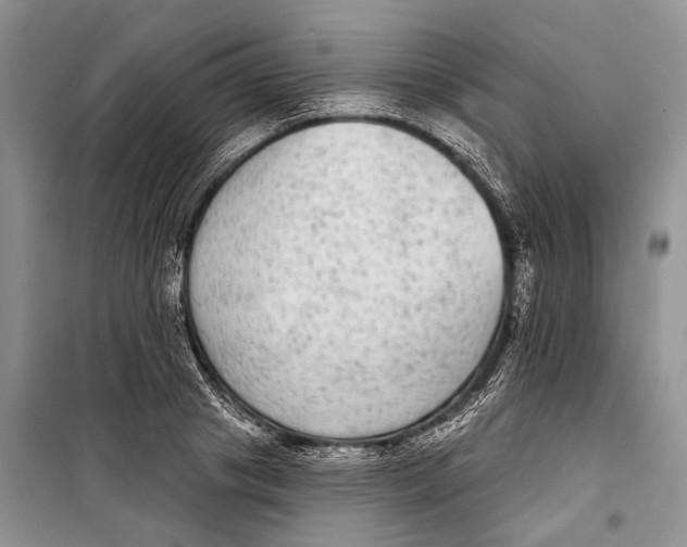 X0000098170841200805151115