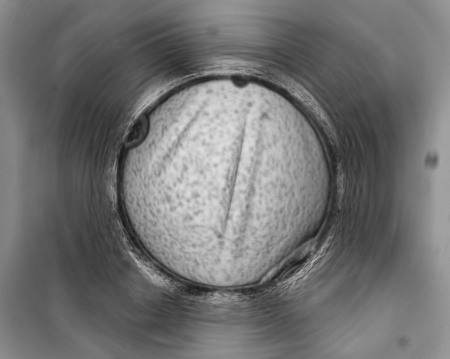 X0000098170842200805151115