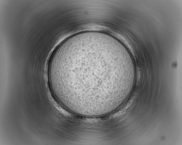 X0000098170843200805151115