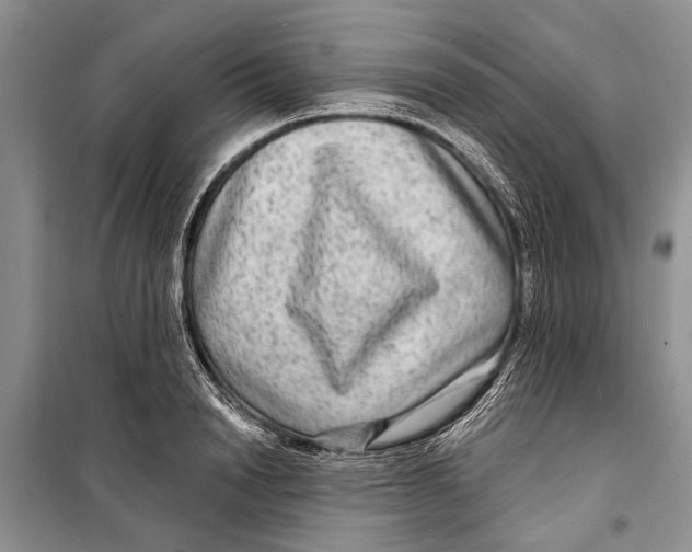 X0000098170846200805151115