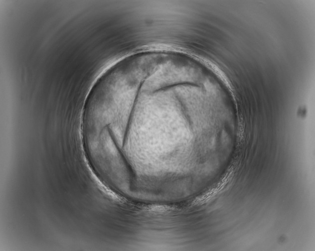 X0000098170847200805151115