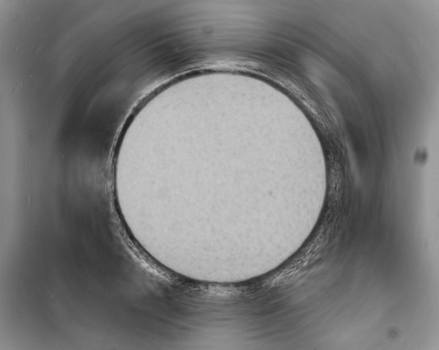 X0000098170848200805151115