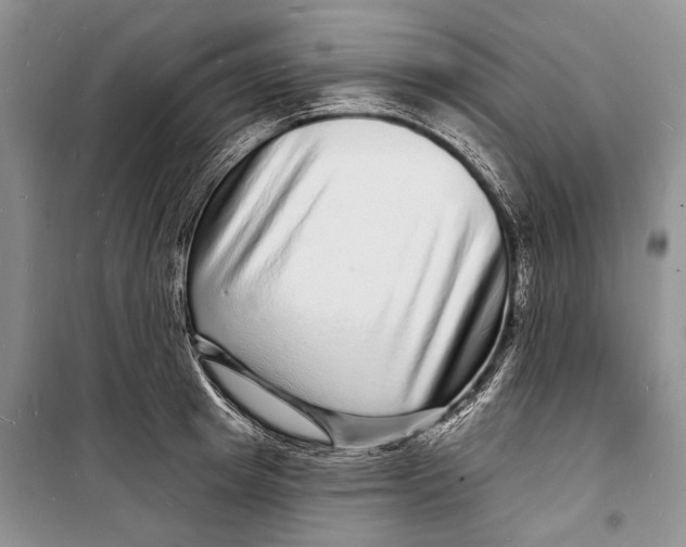 X0000098170849200805151115