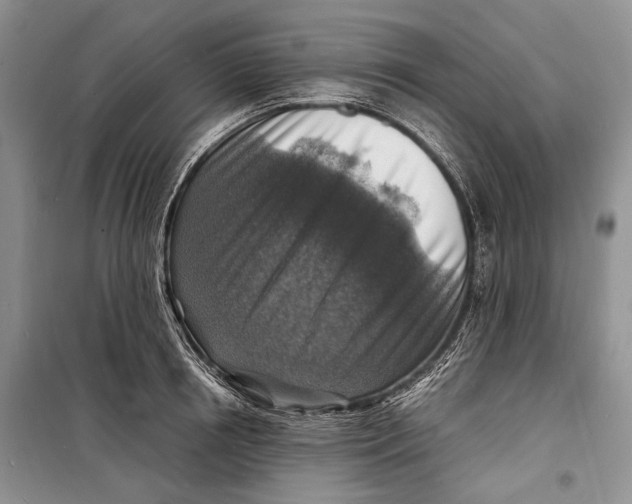 X0000098170850200805151115