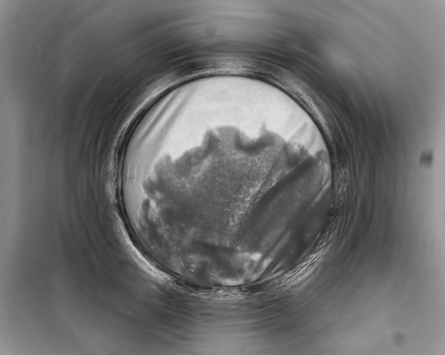 X0000098170851200805151115