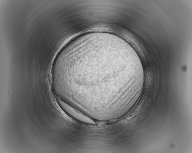 X0000098170852200805151115