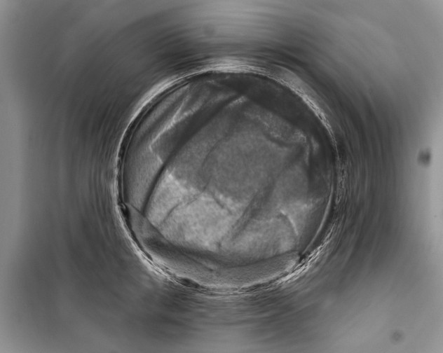 X0000098170853200805151115