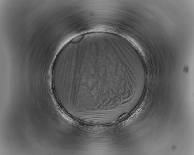 X0000098170854200805151115