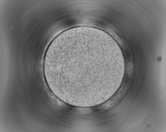 X0000098170856200805151115