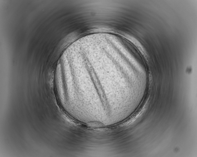 X0000098170857200805151115