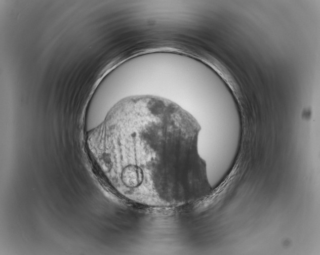 X0000098170858200805151115