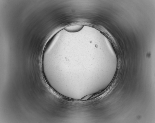 X0000098170860200805151115