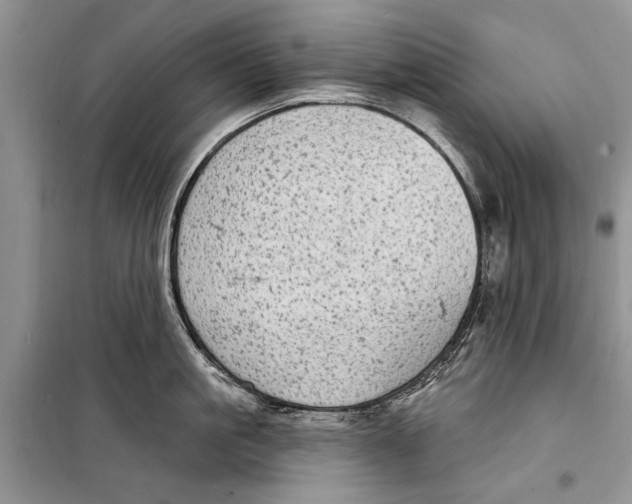 X0000098170861200805151115