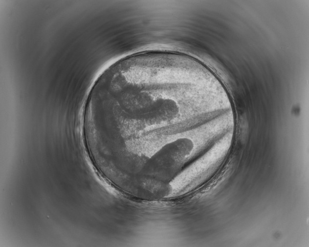 X0000098170862200805151115