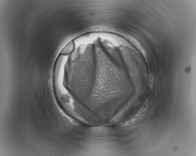 X0000098170863200805151115