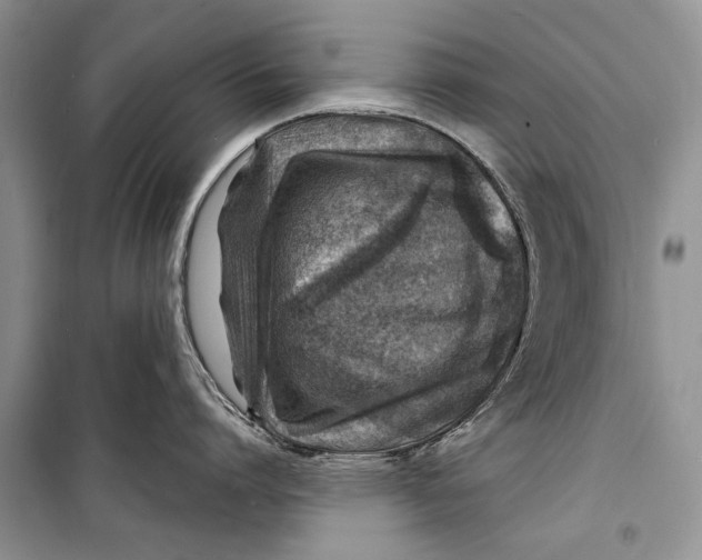 X0000098170864200805151115