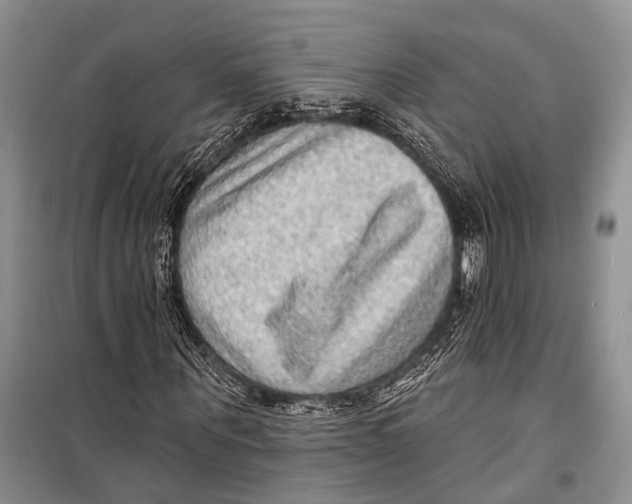 X0000098170867200805151114