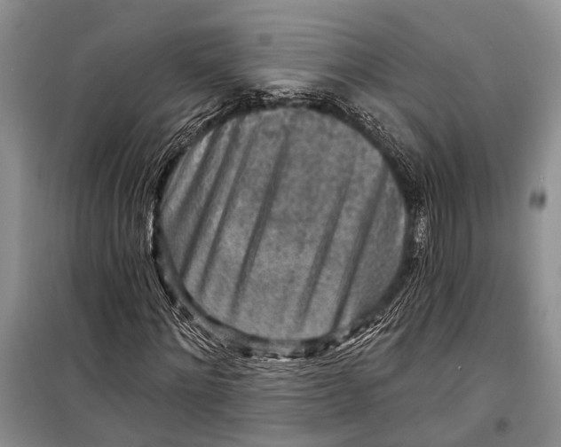 X0000098170868200805151114