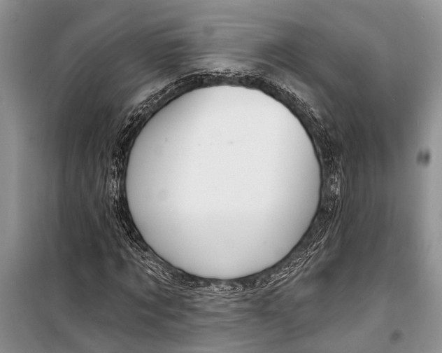 X0000098170869200805151114