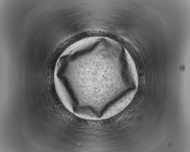 X0000098170870200805151114