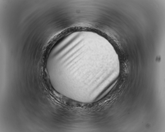 X0000098170872200805151114