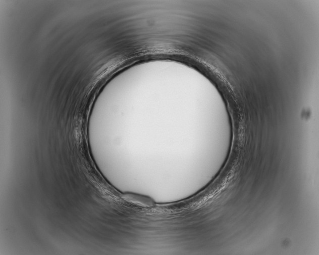 X0000098170873200805151114