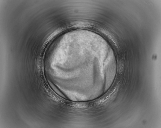 X0000098170874200805151114