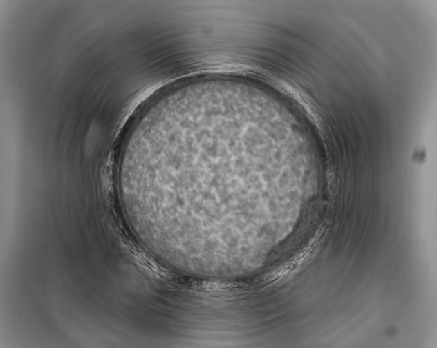 X0000098170875200805151114