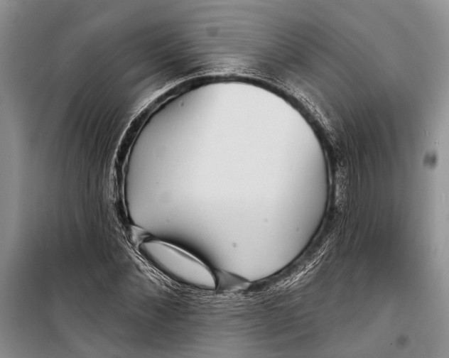 X0000098170876200805151114