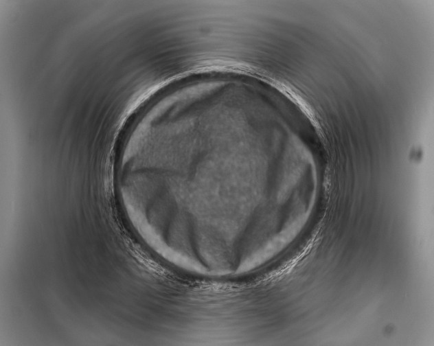 X0000098170877200805151114