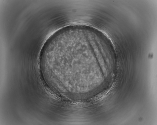 X0000098170879200805151114