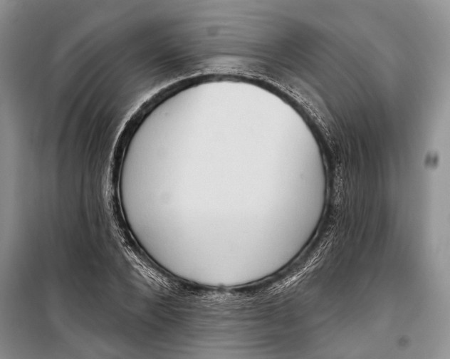 X0000098170880200805151114