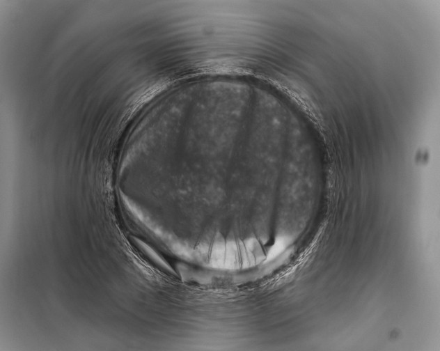 X0000098170881200805151114