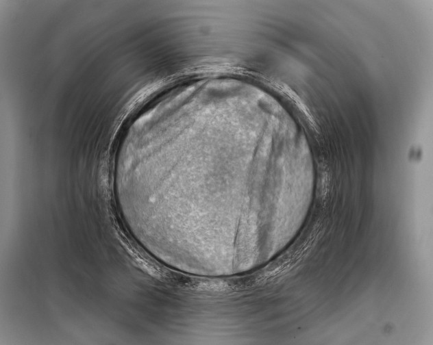 X0000098170882200805151114