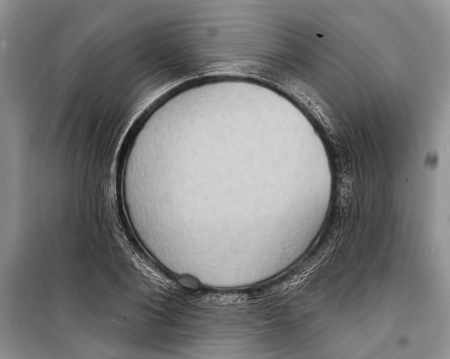 X0000098170884200805151114