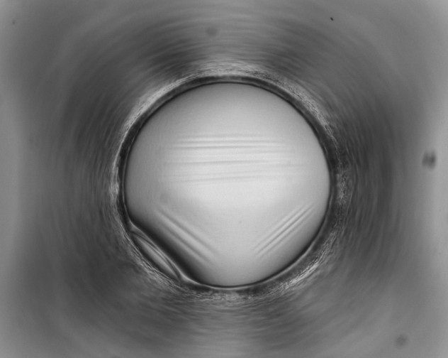 X0000098170885200805151114