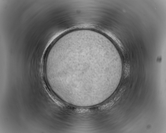 X0000098170886200805151114