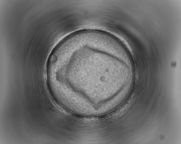 X0000098170887200805151114