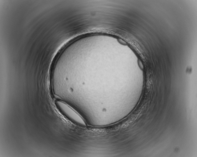 X0000098170888200805151114