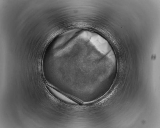 X0000098170889200805151114