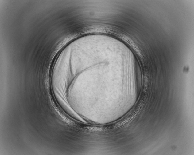 X0000098170890200805151114