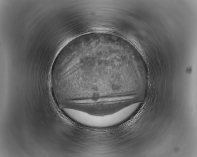 X0000098170891200805151114