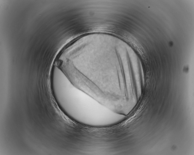 X0000098170892200805151114